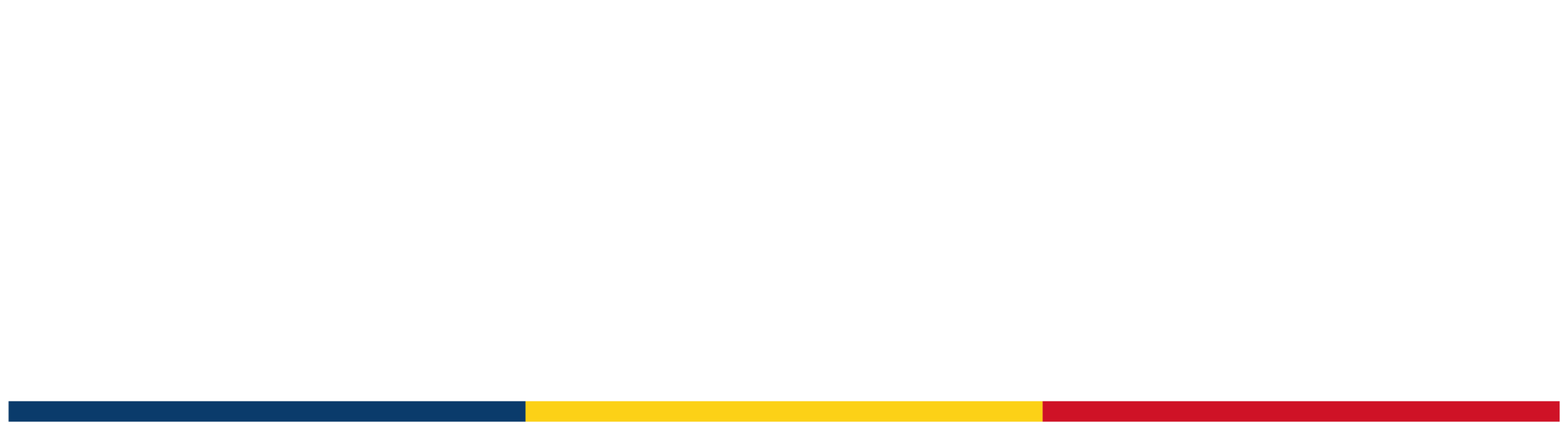Logo Serban Dimitrie Sturdza europarlamentar alb